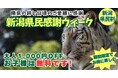 新潟県民限定！お子様は入園無料・大人1,000円引の「新潟県民割」を10月10日より開催