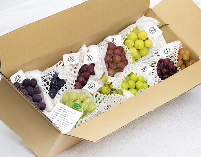 プレミアム全10種類セット