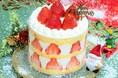 豊洲パーラーのクリスマスは「あまりん」と「あまおう」2種のブランド苺のショートケーキ