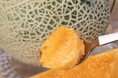 近畿大学農学部 農業生産科学科の学生たちが作った「なら近大農法(ICT農法)メロン」は、豊洲市場ドットコムでお取り寄せできます
