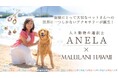 【アネラ×マルラニハワイ】世界にひとつ、ペットのお守りパワーストーンアクセサリーを発売開始!