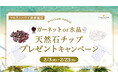 【2月限定】マルラニハワイ表参道店にて、天然石チッププレゼントキャンペーン開催中!