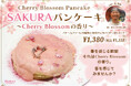 春限定!桜を味わう「SAKURAパンケーキ〜Cherry Blossomの香り〜」、モケス ハワイ江の島店より新登場!