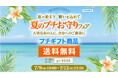 大切なあの人に、自分へのご褒美に【プチギフト商品が送料無料】夏のプチお守りフェア|ハワイ発パワーストーンブランド・マルラニハワイ