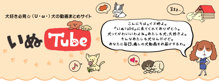 犬の動画に特化したキュレーションサイト いぬtube を開始 ｃｍサイトのプレスリリース