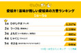 意味が難しい愛媛県の方言ランキングを発表!1位の『ひがしやま』その意味とは?