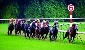 馬コン 恋のファンファーレ In 東京競馬場 第3回開催のご案内 タメニー株式会社のプレスリリース