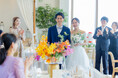 結婚式などを開くなら、一番こだわる点は「費用を抑えて参加しやすく」(43.5%)
