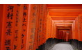 バーチャルガイドツアー、JAPONISME(ジャポニスム)に京都を旅する〈Virtual Tour Japan -Kyoto-〉が登場