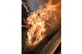 【高知酒場103OPEN2周年】株式会社アトラクションが運営する高知酒場103(とさ)が令和2年11月22日にOPEN2周年を迎えます!