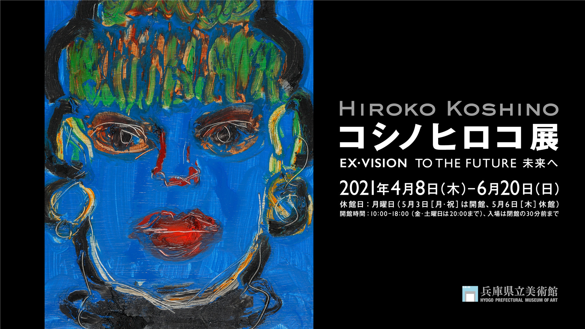 HIROKO KOSHINO EX・VISION TO THE FUTURE 本 | www.vogel-group.com