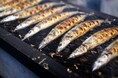 さっぽろ羊ヶ丘展望台「秋の味覚まつり」および「羊のお名前募集キャンペーン結果発表」のお知らせ(2025年9月12日~9月15日)