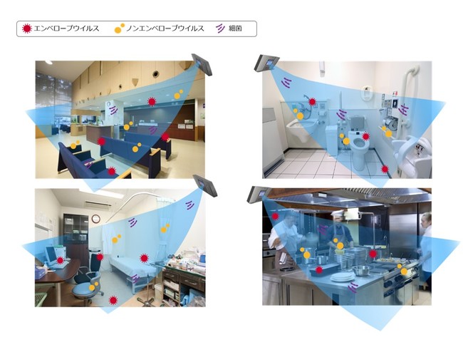 (いずれもイメージです)