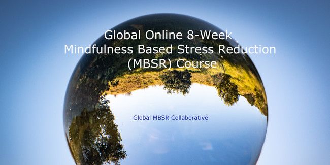 Global MBSR Collaborative