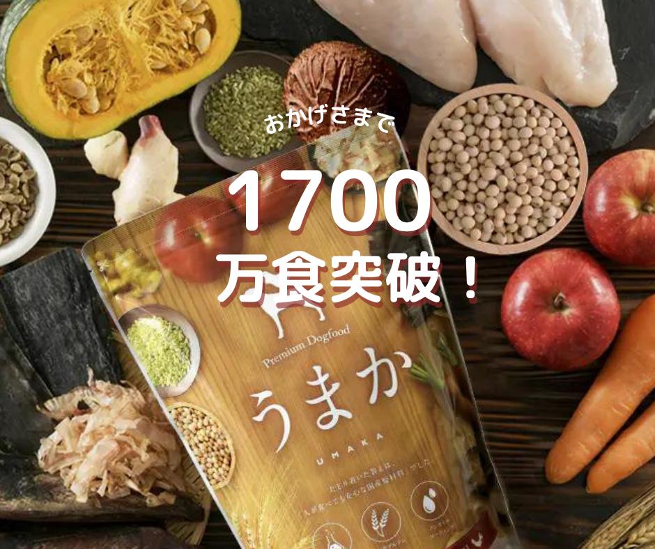 おかげさまで累計1700万食突破！「博多華味鳥」が手掛ける【うまか