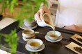 ─ 一杯のお茶から、文明をめぐる旅へ ─「世界茶文化展2026秋」9月12日・13日に東京・丸の内KITTEで開催