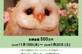 クラウドファンディング「富士花鳥園(静岡県富士宮市)|【第3弾】鳥たち、花たち、お客様に、心も身体も温まる空間を。」スタート!