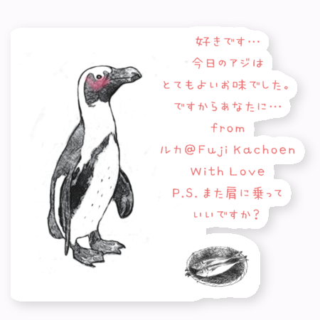 人間に恋したペンギン 富士花鳥園で大人気 加茂株式会社のプレスリリース