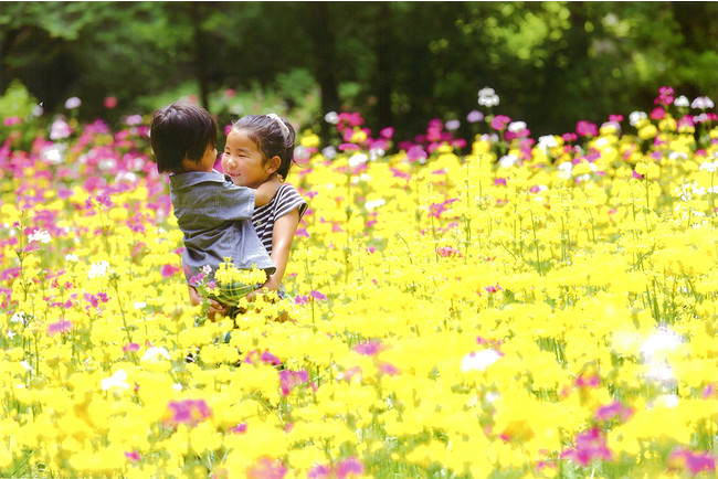 富士花鳥園フォトコンテスト　2015年優秀賞　鈴木勇介様　「笑顔のあふれる場所」