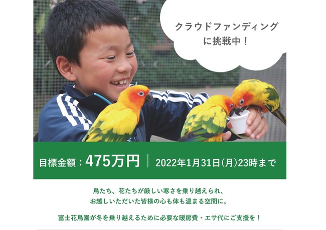 富士花鳥園 静岡県富士宮市 鳥たち 花たち お客様に 心も身体も温まる空間を 加茂株式会社のプレスリリース