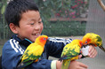 富士花鳥園（静岡県富士宮市）｜鳥たち、花たち、お客様に、心も身体も温まる空間を。