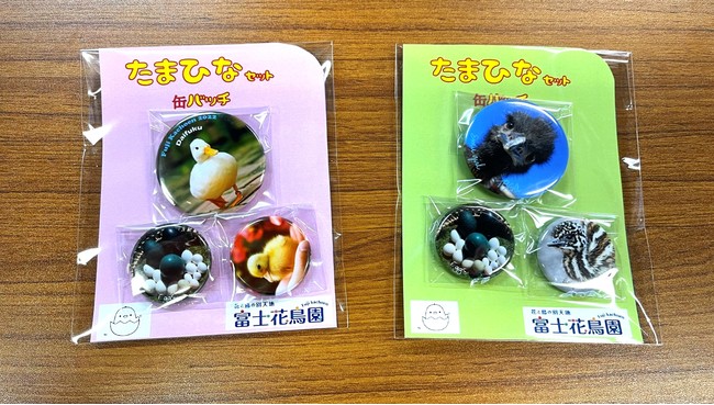 たまひなセット缶バッジ発売中 富士花鳥園 静岡県富士宮市 雑記帳