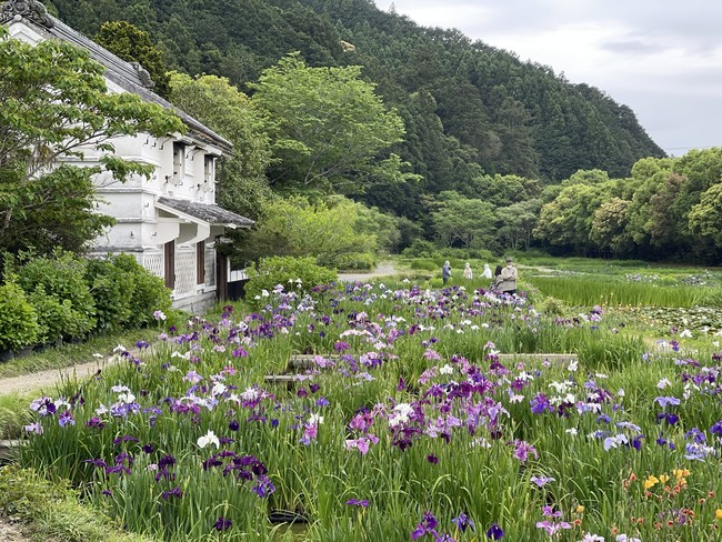 加茂荘花鳥園　2022年5月9日撮影