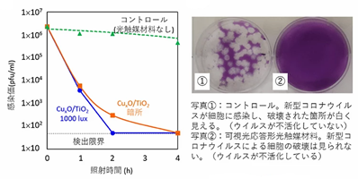 画像：東京工業大学