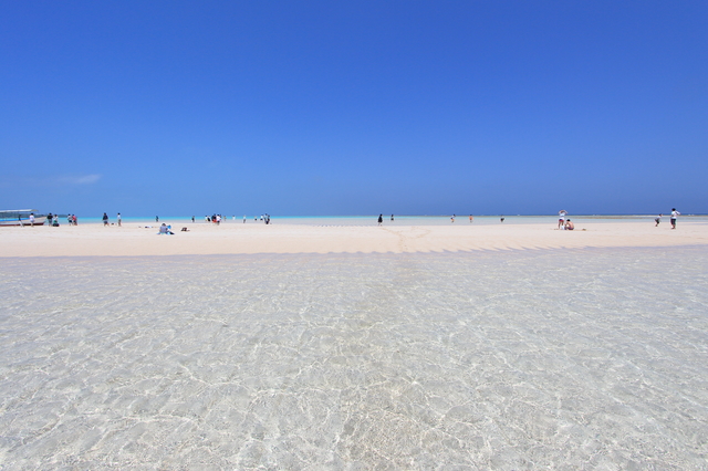 与論島の百合ヶ浜は干潮などの条件が揃うと白い砂浜が現れ、まるで天国のような美しさ！