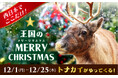 西日本でここだけ！今年も神戸どうぶつ王国にトナカイがやってきた！