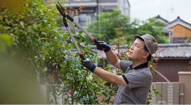 日本庭園の造園以外にもさまざまな業務が増え、造園・植木屋の活躍の場も拡大しています。