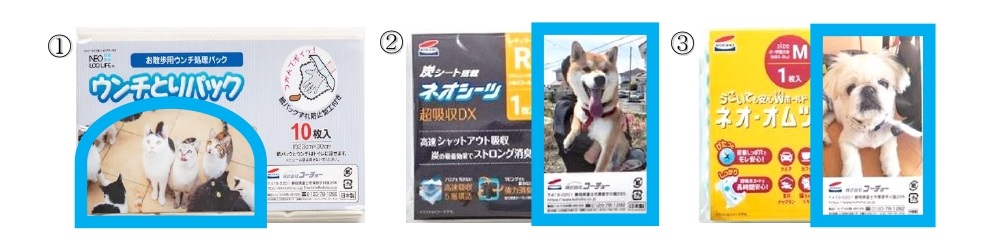 コーチョー公式ストアオープン！開設を記念してNEO BOXの体験用サンプルプレゼントキャンペーンを実施中｜株式会社コーチョーのプレスリリース