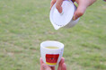 東海地区最大級の日本茶イベント「chayoi park nagoya」が今年も名古屋で開催!!