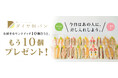 差し入れに おみやげに おもたせに 「ダイヤ製パンの純サンド」10個買ったら、もう10個プレゼント