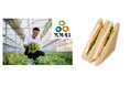 生で食べないと後悔するうまさ!春菊生産量全国1位!大阪産「泉州きくな」 生で味わうサンドイッチ誕生
