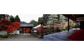 酬恩庵 一休寺 名勝庭園茶室「虎丘庵」2024年秋季特別拝観