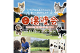 2025年11月16日（日）ペッツファーストグループ「ふれあい譲渡会」開催のお知らせ　in ペットケア＆アダプションセンター日光