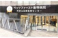 ペッツファースト動物病院 代官山高度医療センター 2025年3月1日(土)診療再開のお知らせ