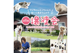 2025年3月29日(土)ペッツファーストグループ「犬猫里親譲渡会」開催のお知らせ inペットケア&アダプションセンター日光