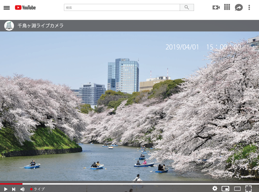 桜の名所 東京千鳥ヶ淵 千代田のさくらまつり 開催中止 一般社団法人千代田区観光協会のプレスリリース