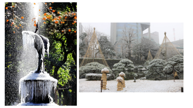 (写真左：東京大回廊写真コンテスト受賞作品 羽田修「輝きは一瞬」)