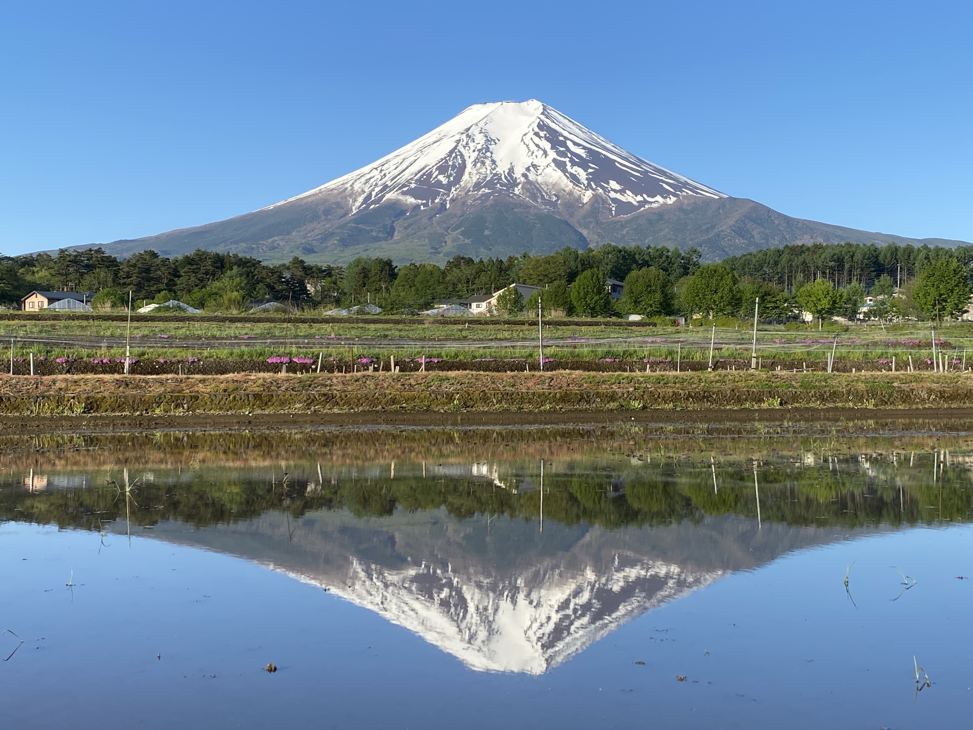 1位は山梨県富士吉田市の「富士山信仰の聖地」～○○の聖地ランキング