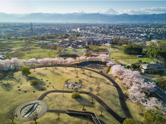 ドラゴンパークの桜／提供：甲斐市 商工観光課