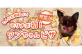モリナポ初!愛犬と一緒に食べられる、ヒトにも美味しい「ワンちゃんピザ」2025年7月15日(火)新発売