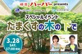 FMヨコハマ「Lovely Day♡」コラボ企画「横濱ハーバーpresents　スペシャルイベント「たまくすの木の下で」　“たまくすデッキ” 初のイベント開催！【横浜開港資料館】