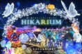 「HIKARIUM2025」関西最大級のイルミネーション開催決定‼