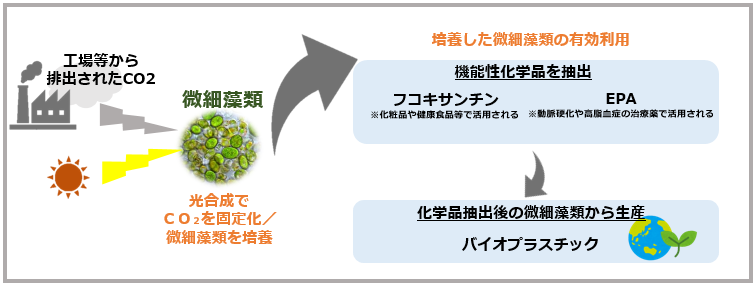 微細藻類によるco2固定化プロジェクトがnedo委託事業に採択 株式会社アルガルバイオのプレスリリース