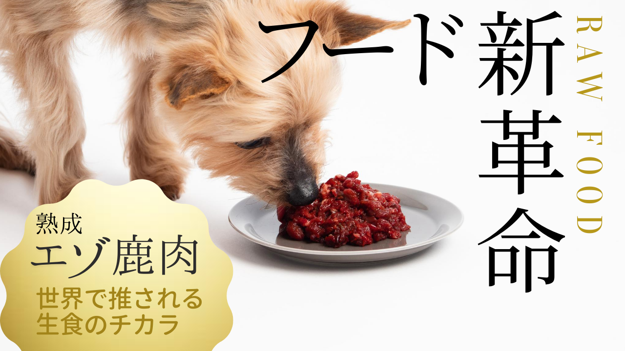 帰ってきた生肉時代！ペットの栄養と筋力をサポート「北海道熟成エゾ鹿 ...