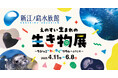 【新江ノ島水族館生まれのちびっこ大集合】『えのすい生まれの生き物展 ~ちびっこ❝わくわく❞リウムへようこそ~』本日スタート!