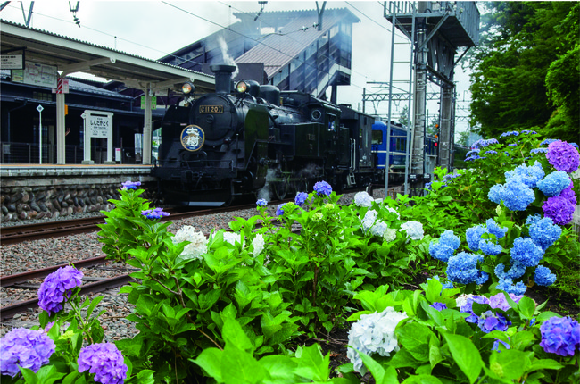▲新高徳駅 あじさい(イメージ) ▲新高徳駅 あじさい(イメージ)
